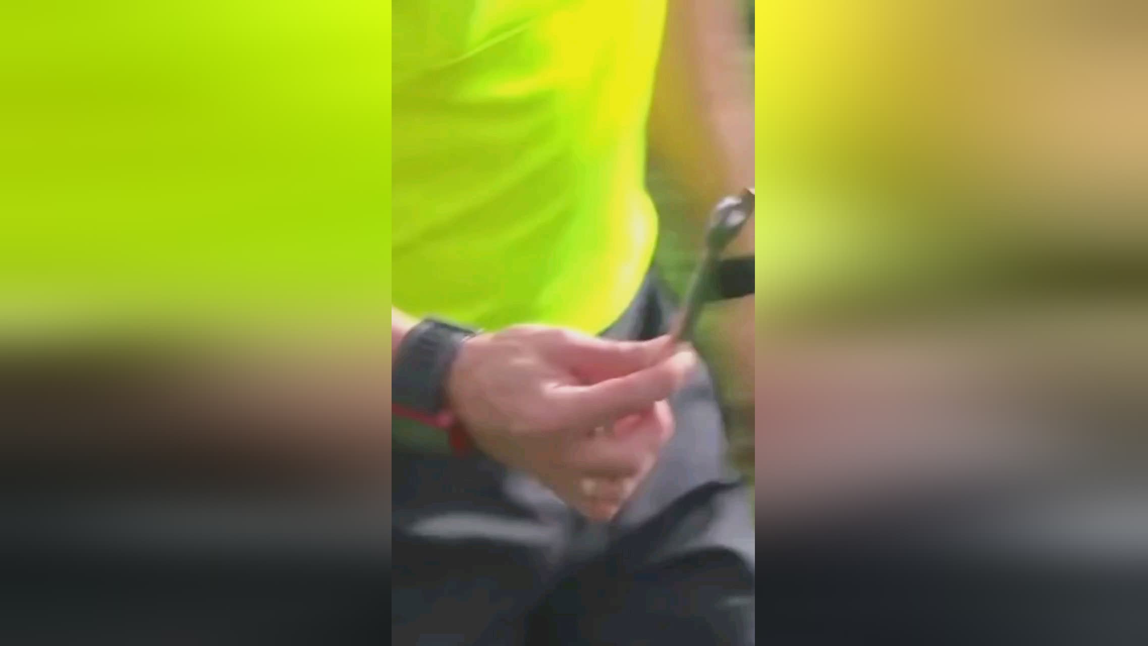 实力